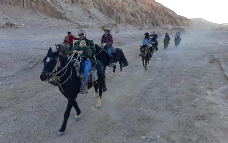 Atacama Desert: Horseback Adventure With Scenic Views - Key Points