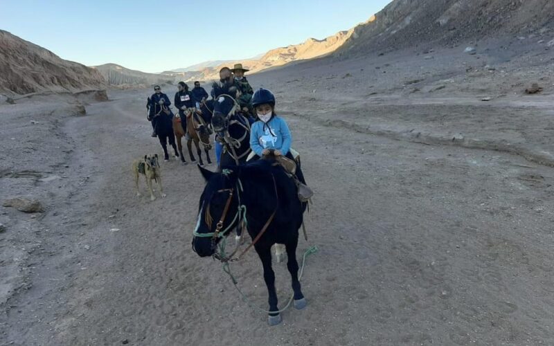 Atacama Desert: Horseback Adventure With Scenic Views - Getting to the Meeting Point