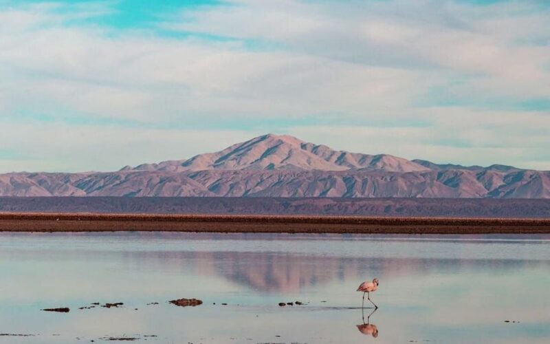 Atacama Desert: Refreshing Float at Laguna Cejar and Sunset - Key Points