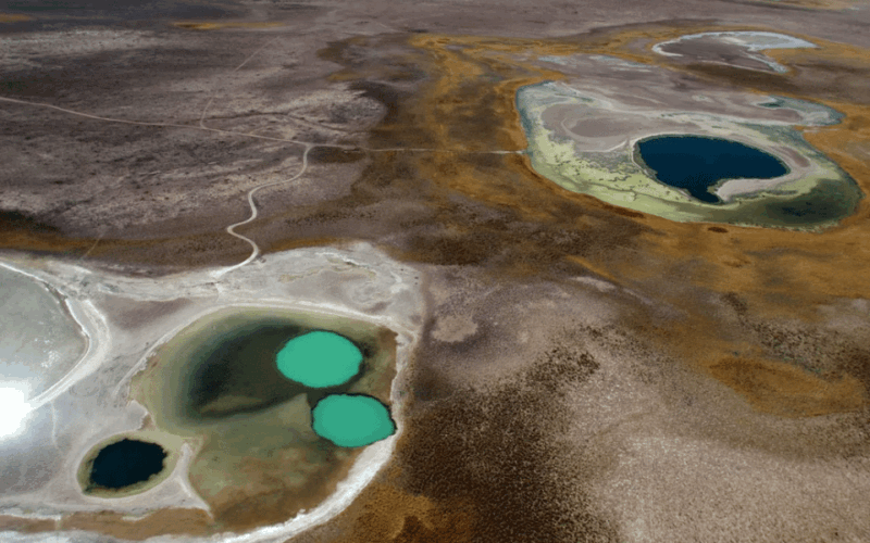 Atacama Desert: Refreshing Float at Laguna Cejar and Sunset - Important Information