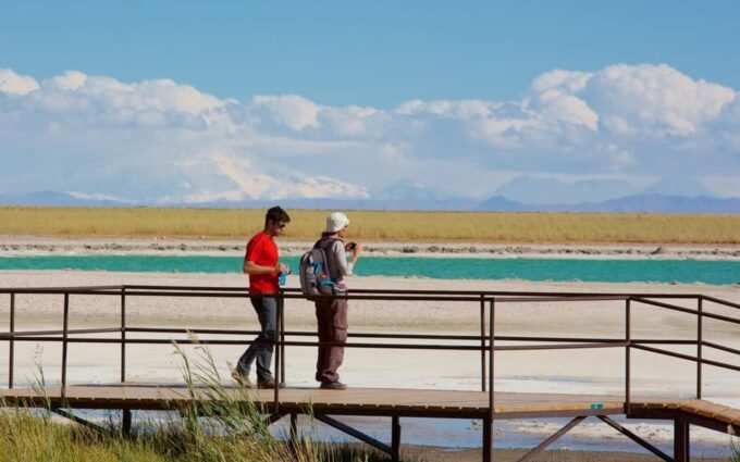 Atacama Desert: Refreshing Float at Laguna Cejar and Sunset - Reflection at Ojos Del Salar