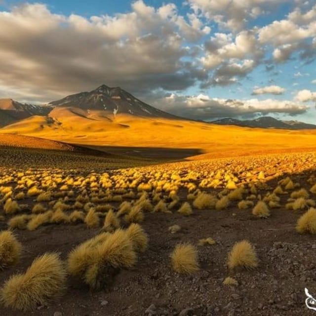 Atacama, Routes of the Salars - Preparation and Recommendations