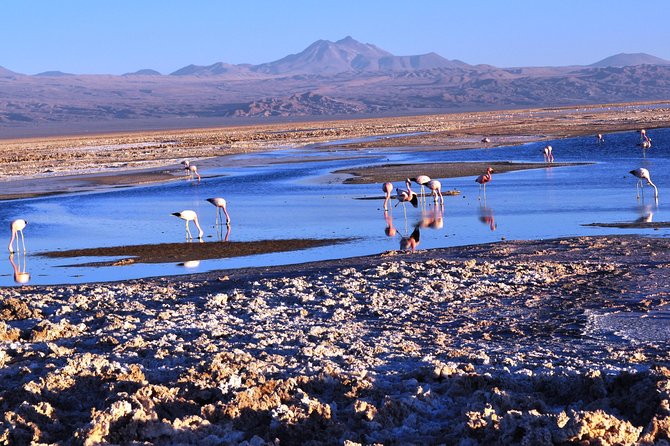 Atacama Salt Flat & Piedras Rojas Tour From San Pedro De Atacama - Itinerary and Activities