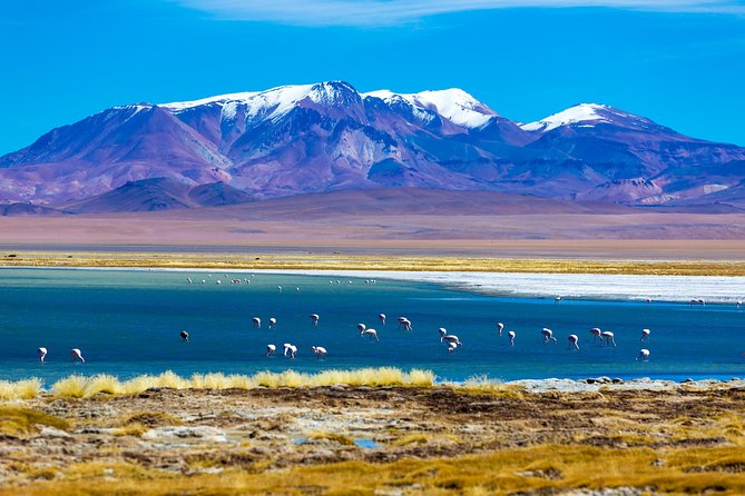 Atacama Salt Flat & Piedras Rojas Tour From San Pedro De Atacama - Inclusions and Exclusions