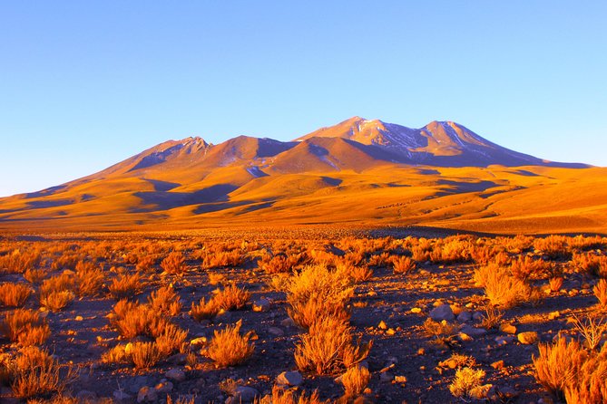Atacama Salt Flat & Piedras Rojas Tour From San Pedro De Atacama - Pickup and Transportation