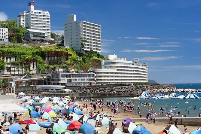 Atami Full-Day Private Tour With Government-Licensed Guide - Pickup and Transportation
