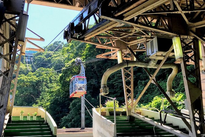 Atami Full-Day Private Tour With Government-Licensed Guide - Pricing and Guarantees
