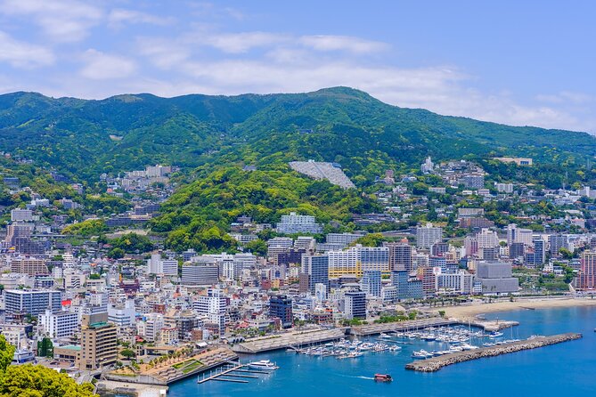 Atami Full-Day Private Tour With Government-Licensed Guide - Additional Information