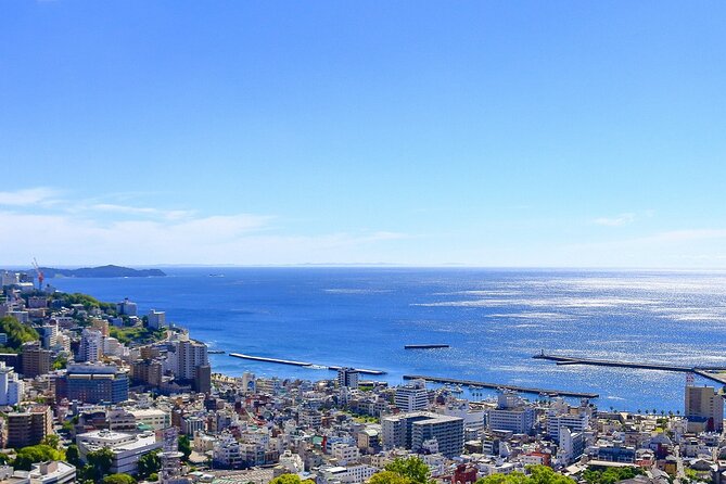 Atami Half-Day Private Tour With Government-Licensed Guide - Tour Inclusions