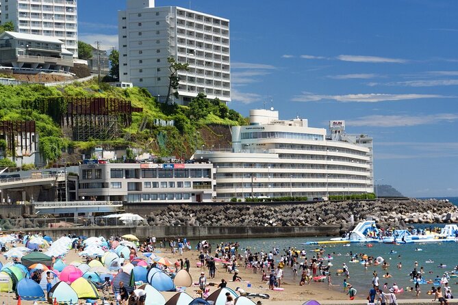 Atami Half-Day Private Tour With Government-Licensed Guide - Tour Confirmation and Changes