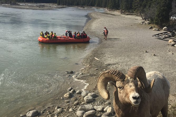 Athabasca River Easy Scenic Raft Trip - Trip Recommendations