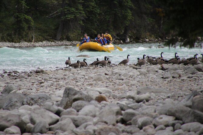 Athabasca River Mile 5 - Additional Considerations