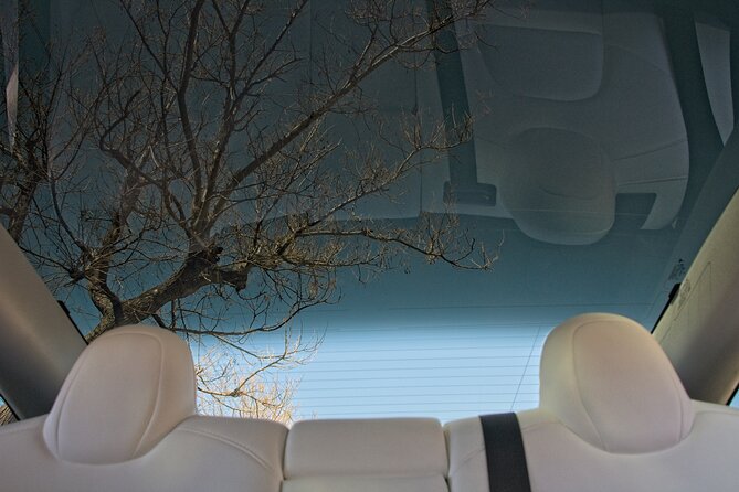 Athens City Highlights Half Day Private Tour With Tesla - Customer Reviews
