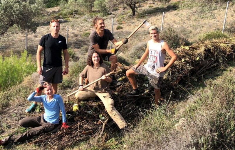 Athens: Eco Tour in the Living Museum of Sustainability - Interactive Micro-Workshops