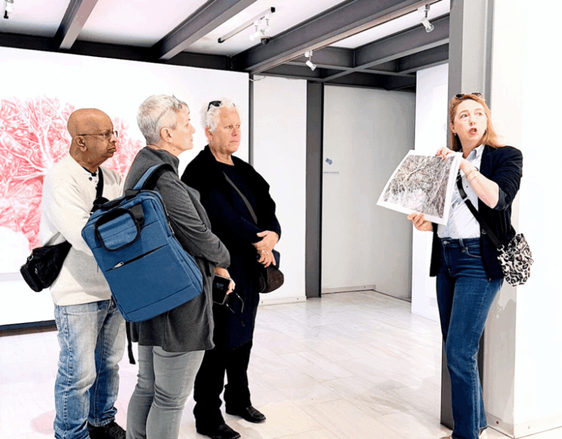 Athens: Gallery Hop Walking Tour in City Center - Key Points