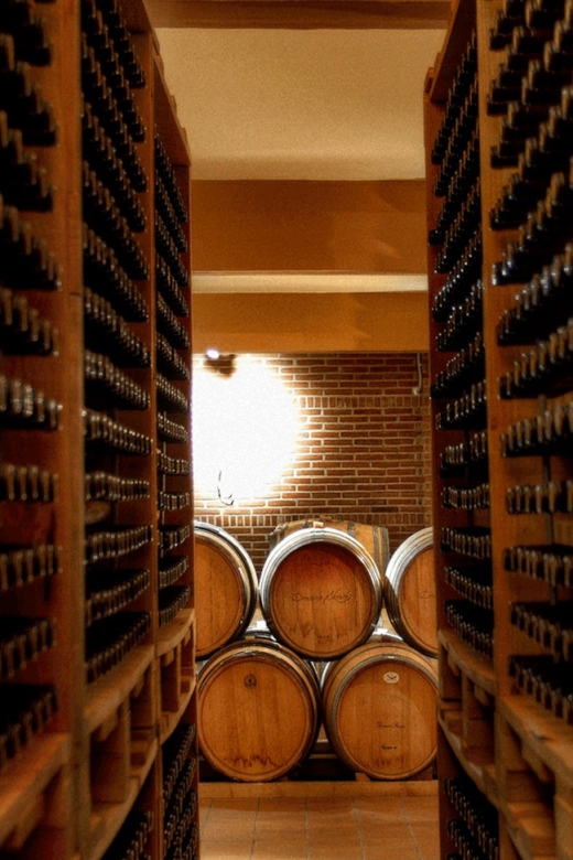Athens: Nafplio and Nemea Wine Tasting Day Trip - Key Points