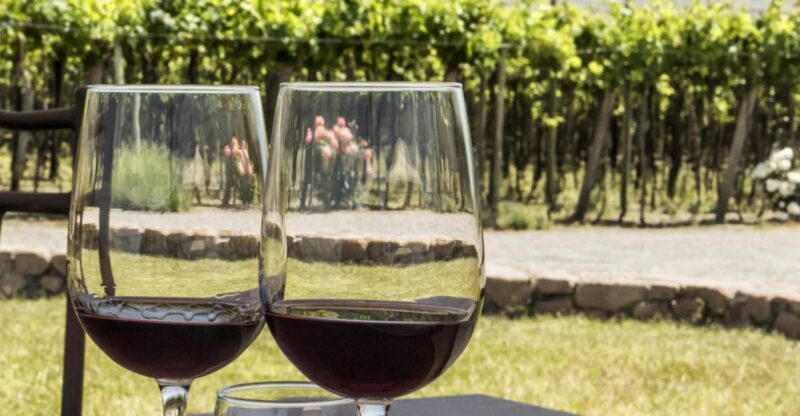 Athens: Nafplio and Nemea Wine Tasting Day Trip - Nemea Winery Visits