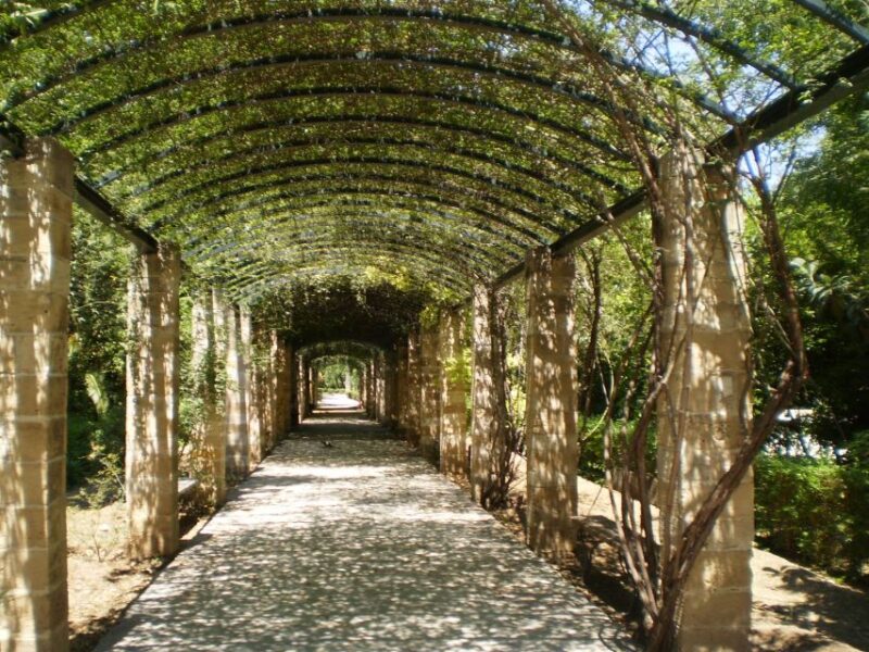 Athens: National Garden 2-Hour Segway Tour - National Garden Exploration