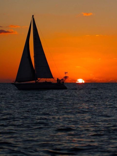 Athens Night-Out Midnight Sailing Cruise - Experience Highlights