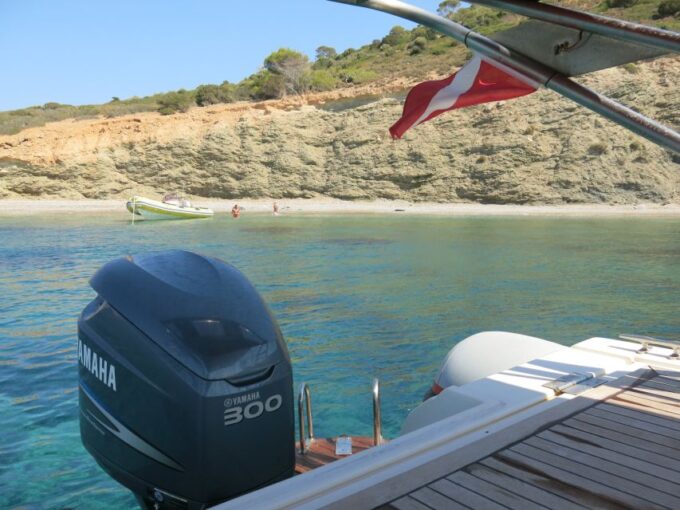 Athens: Private Cruise With Snorkeling and Swimming - Pricing and Availability