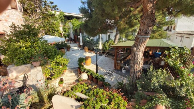 Athens: Private Half-Day Winery Tour With Dinner - Pickup and Drop-off Service