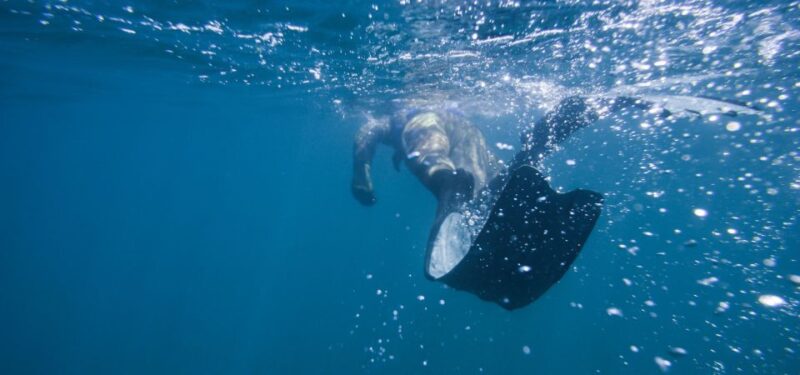 Athens: Riviera Private Boat Experience With Snorkeling - Key Points