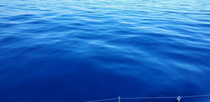 Athens Riviera Private Catamaran Cruise With Meal and Drinks - Suitability and Accessibility