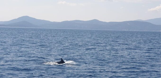 Athens Riviera Private Catamaran Cruise With Meal and Drinks - Highlights and Unique Experiences
