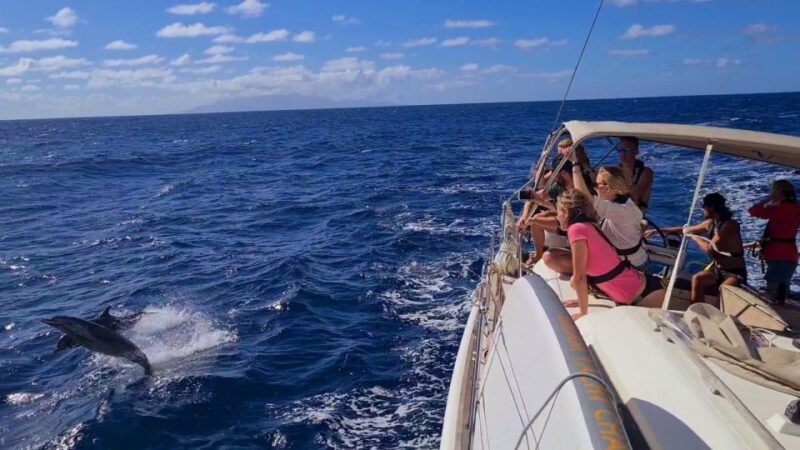 ATHENS SAILING & GASTRONOMY MORNING CRUISE ALL INCLUSIVE - Main Stop at Fleves