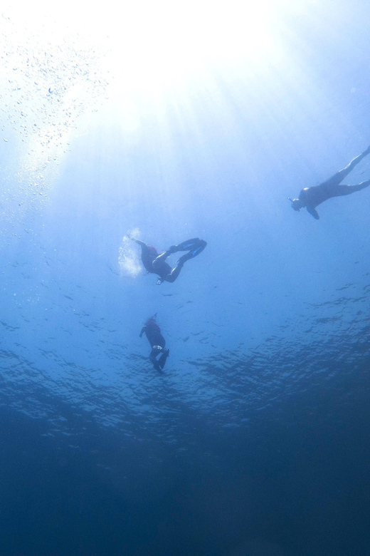 Athens: Snorkeling Riviera Adventure - Transportation and Meeting Point