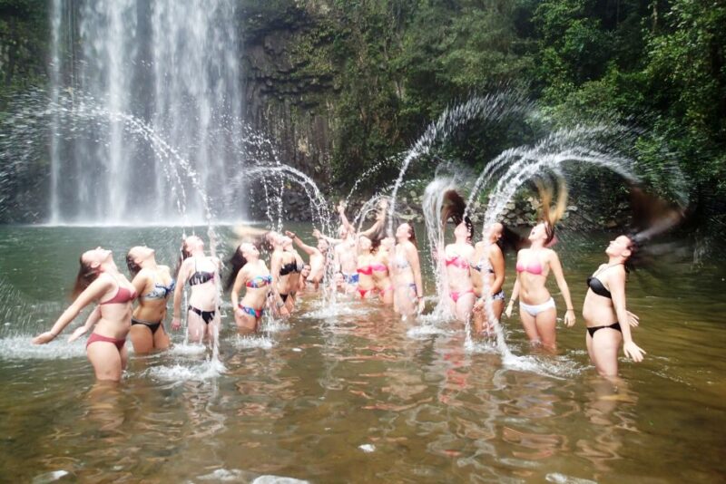 Atherton Tablelands: Lakes, Waterfalls, Rainforest Day Tour - Tour Overview