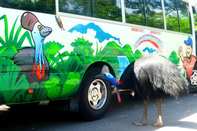 Atherton Tablelands: Lakes, Waterfalls, Rainforest Day Tour - Pickup Locations