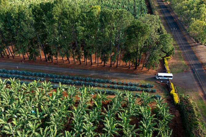 Atherton Tablelands Small-Group Food & Wine Tasting Tour From Port Douglas - Sample Menu