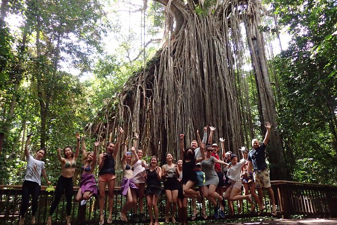Atherton Tablelands Waterfall Adventure From Cairns - Swimming in Lake Eacham