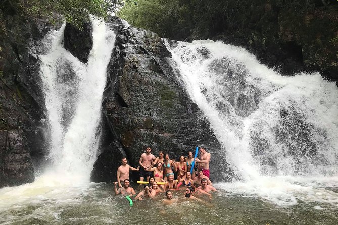 Atherton Tablelands Waterfall Adventure From Cairns - Exploring the Cathedral Fig Tree
