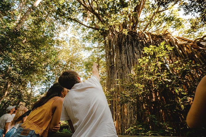 Atherton Tablelands, Waterfalls and Rainforest Tour From Cairns - Hypipamee Crater