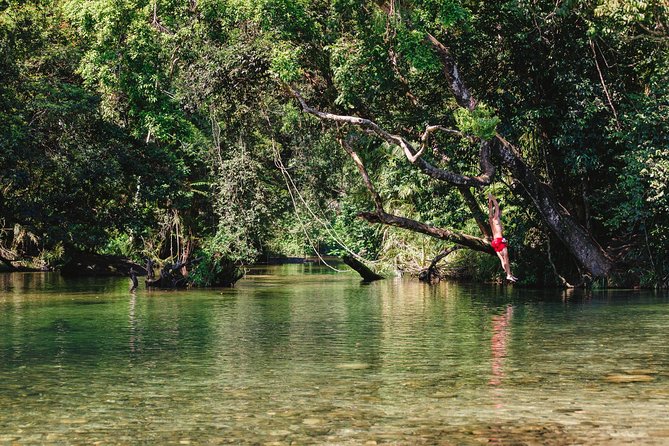Atherton Tablelands, Waterfalls and Rainforest Tour From Cairns - Lake Eacham