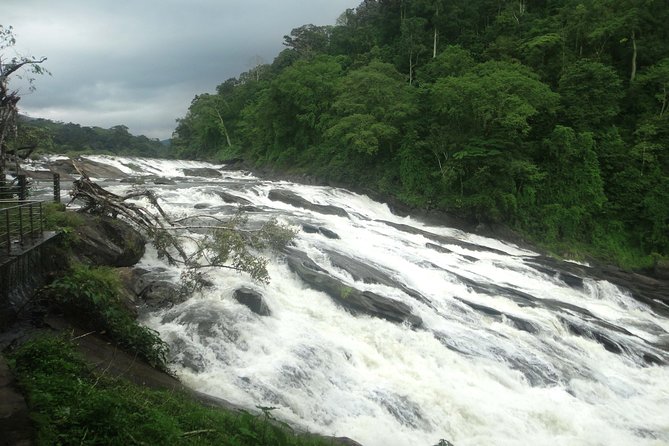 Athirappally & Vazhachal Waterfall Tour With Lunch - Itinerary and Schedule