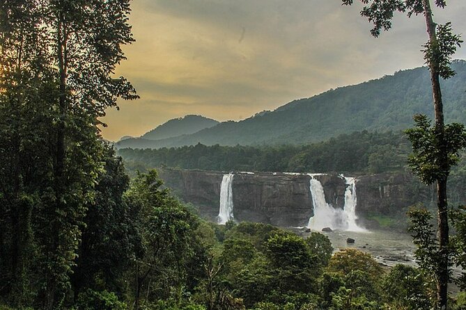 Athirappilly & Vazhachal Waterfalls Private Day Tour From Kochi - Inclusions and Pricing