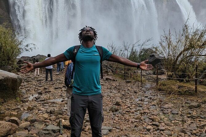 Athirappilly Waterfalls Day Trip from Kochi with Transfers - The Journey to Athirappilly: What to Expect