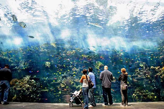 Atlanta CityPASS® - Visitor Information