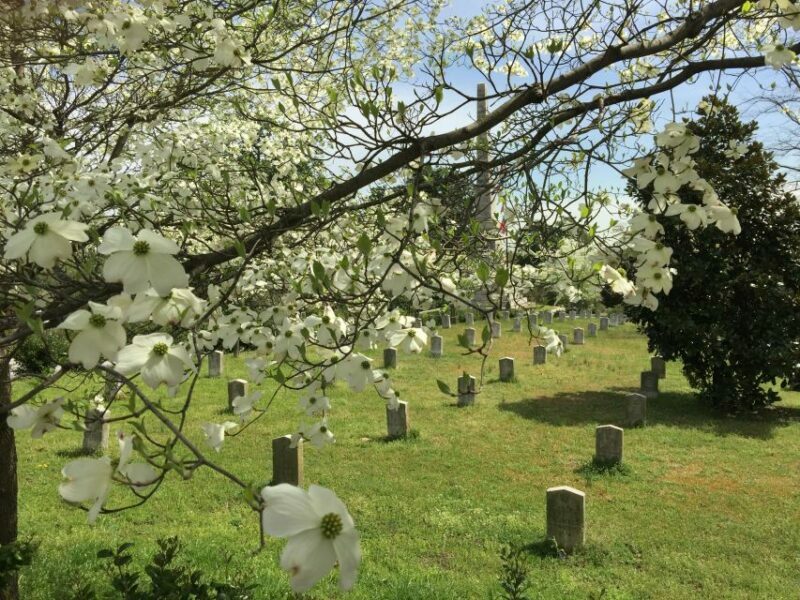 Atlanta: From Civil War to Civil Rights Private Tour - Frequently Asked Questions