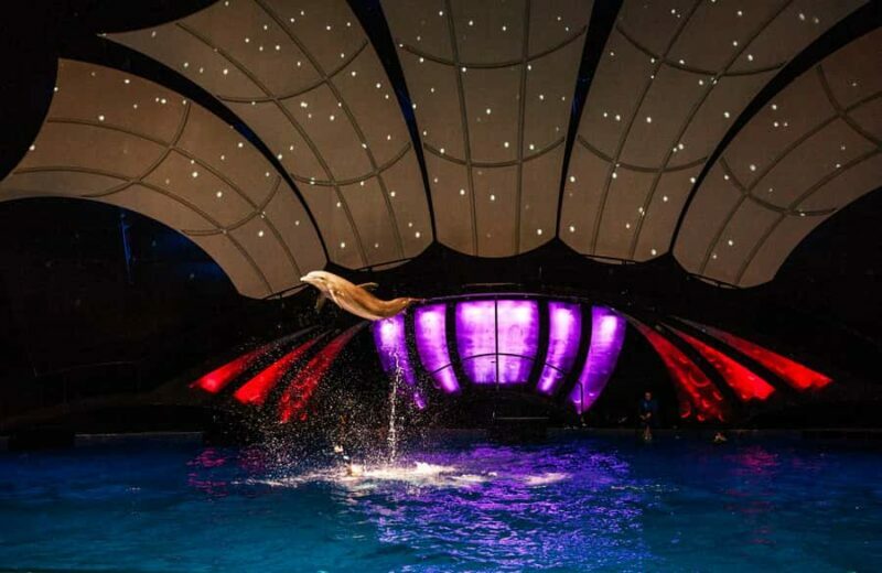 Atlanta: Georgia Aquarium Skip-the-Box-Office Entry Ticket - Key Points