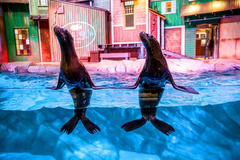 Atlanta: Georgia Aquarium Skip-the-Box-Office Entry Ticket - An Overview of the Georgia Aquarium Experience