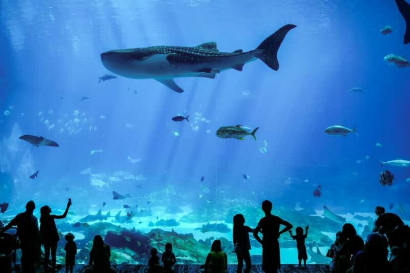 Atlanta: Georgia Aquarium Skip-the-Box-Office Entry Ticket - FAQs