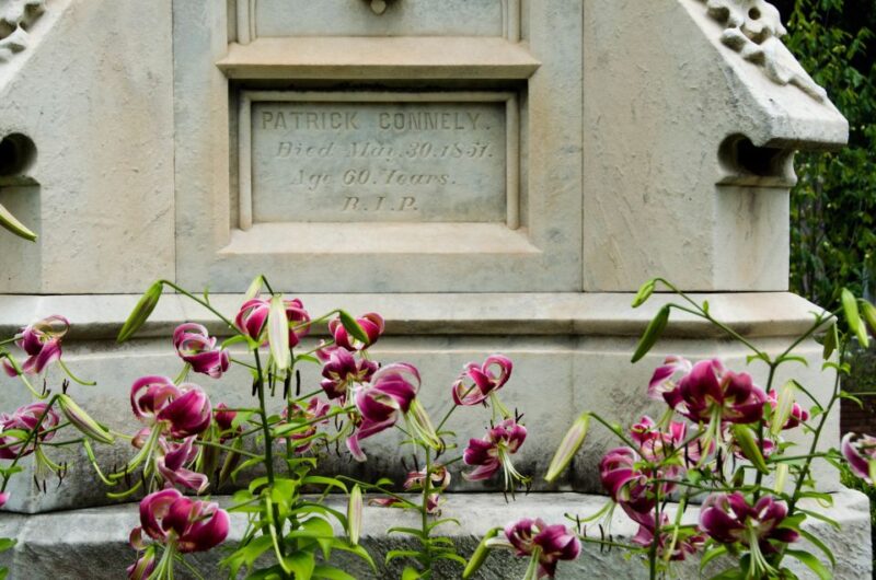 Atlanta: Grant Park Food and Cemetery Tour - Included in the Tour