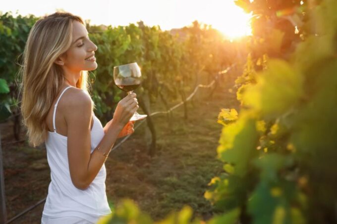 Atlanta Vineyards and Wines Full-Day Tour - Booking Information