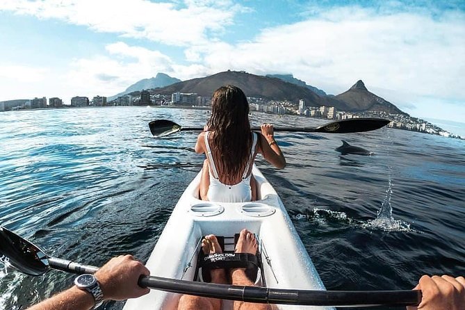 Atlantic Outlook Kayak Tour Cape Town - Kayaking Experience Level