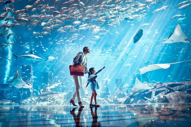 Atlantis Lost Chamber Aquarium - Tips for an Enjoyable Visit