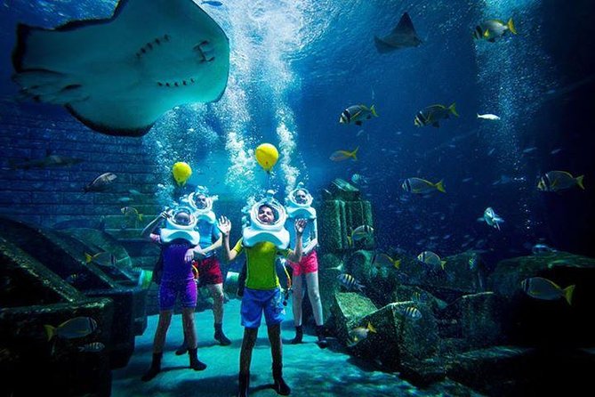 Atlantis Lost-Chamber Aquarium Dubai - Visitor Feedback and Ratings